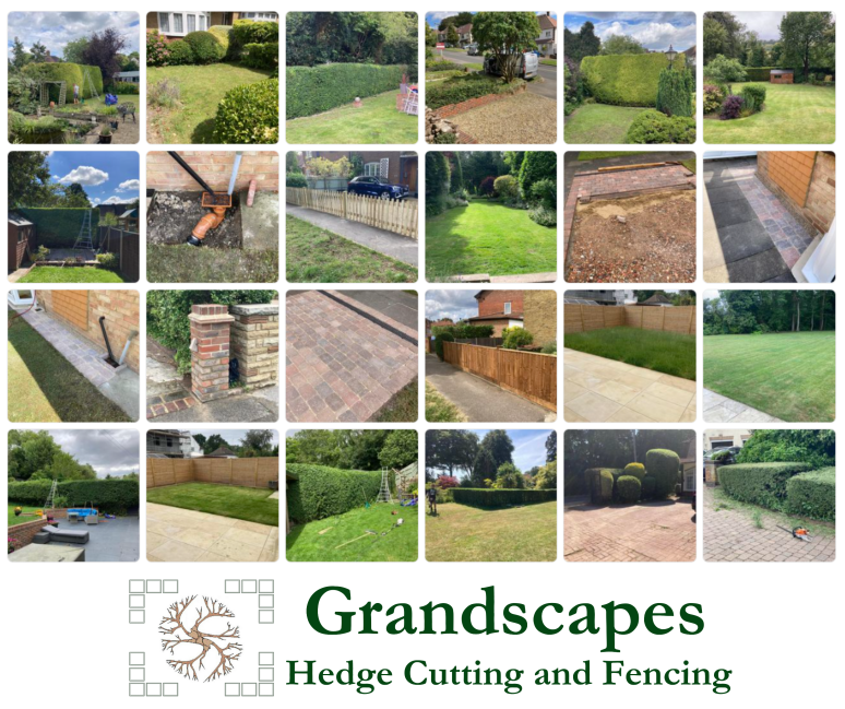 multipicsgrandscapes